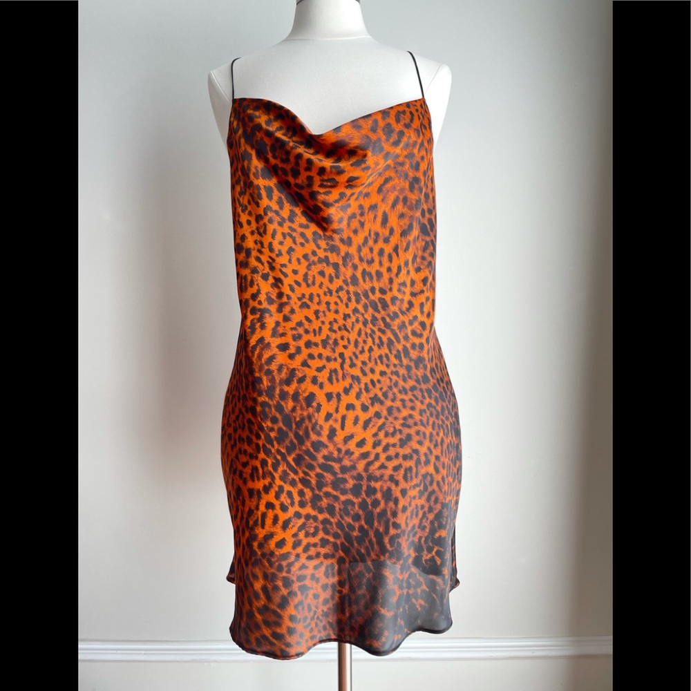 Zara Leopard Dress